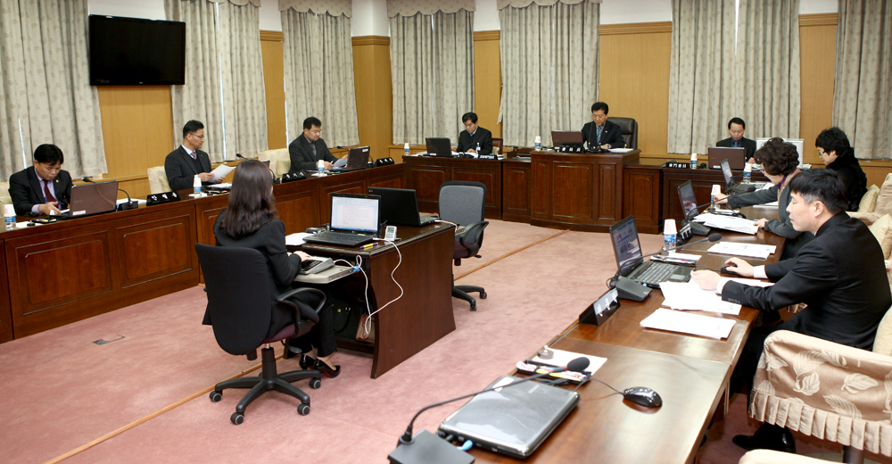 2015.02.05_제217회_임시회_시민안전특별위원회_(7)