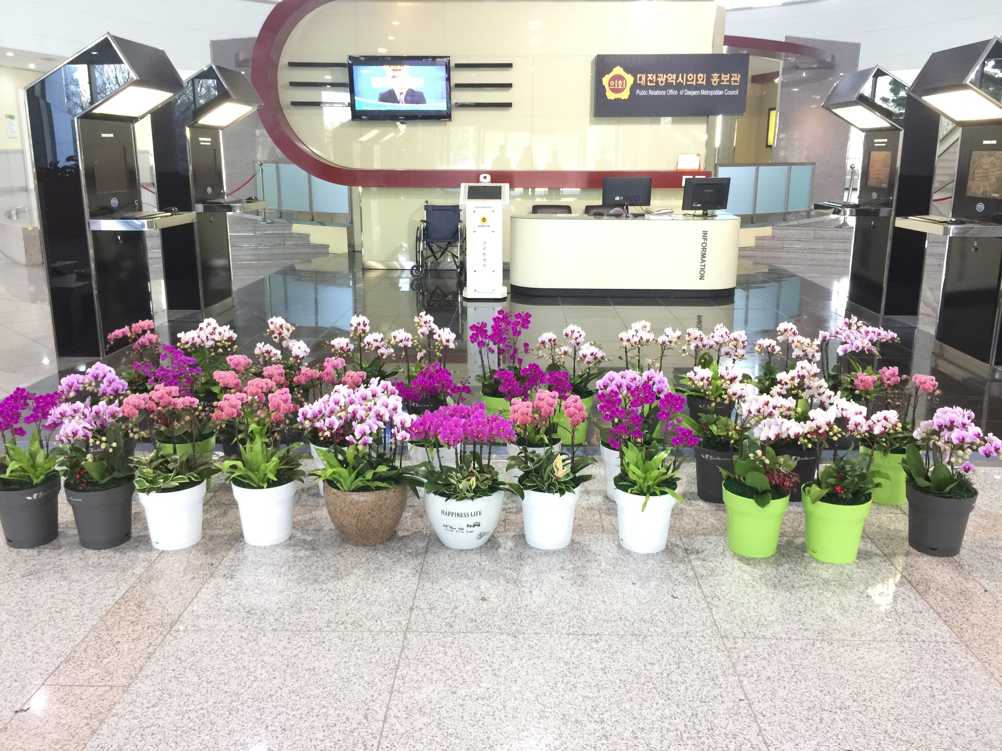 (20170313)_대전시의회_화훼농가_지원_발_벗고_나서_사진1